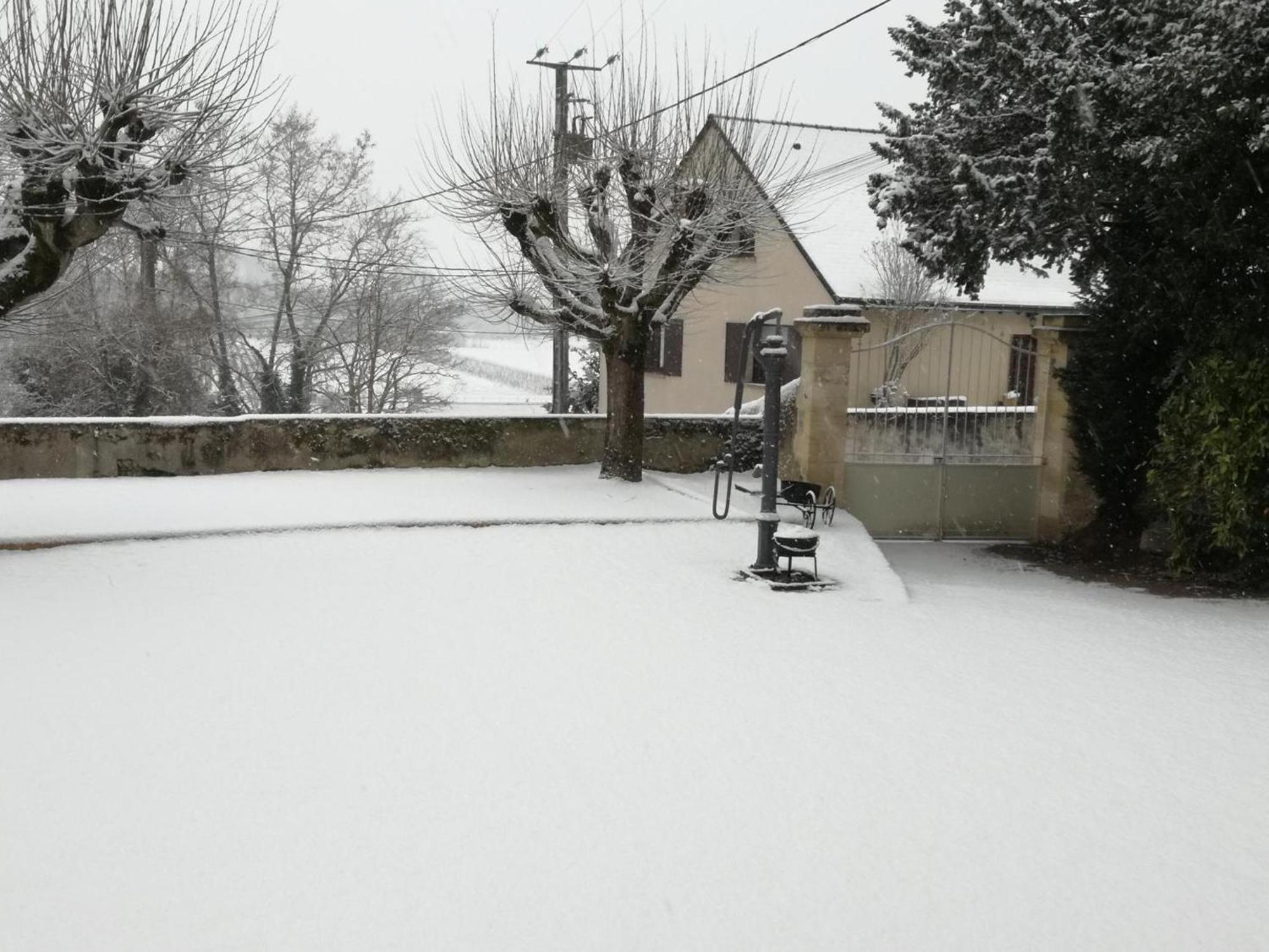 Gîte Vouvray, 4 pièces, 8 personnes - FR-1-381-87 Extérieur photo